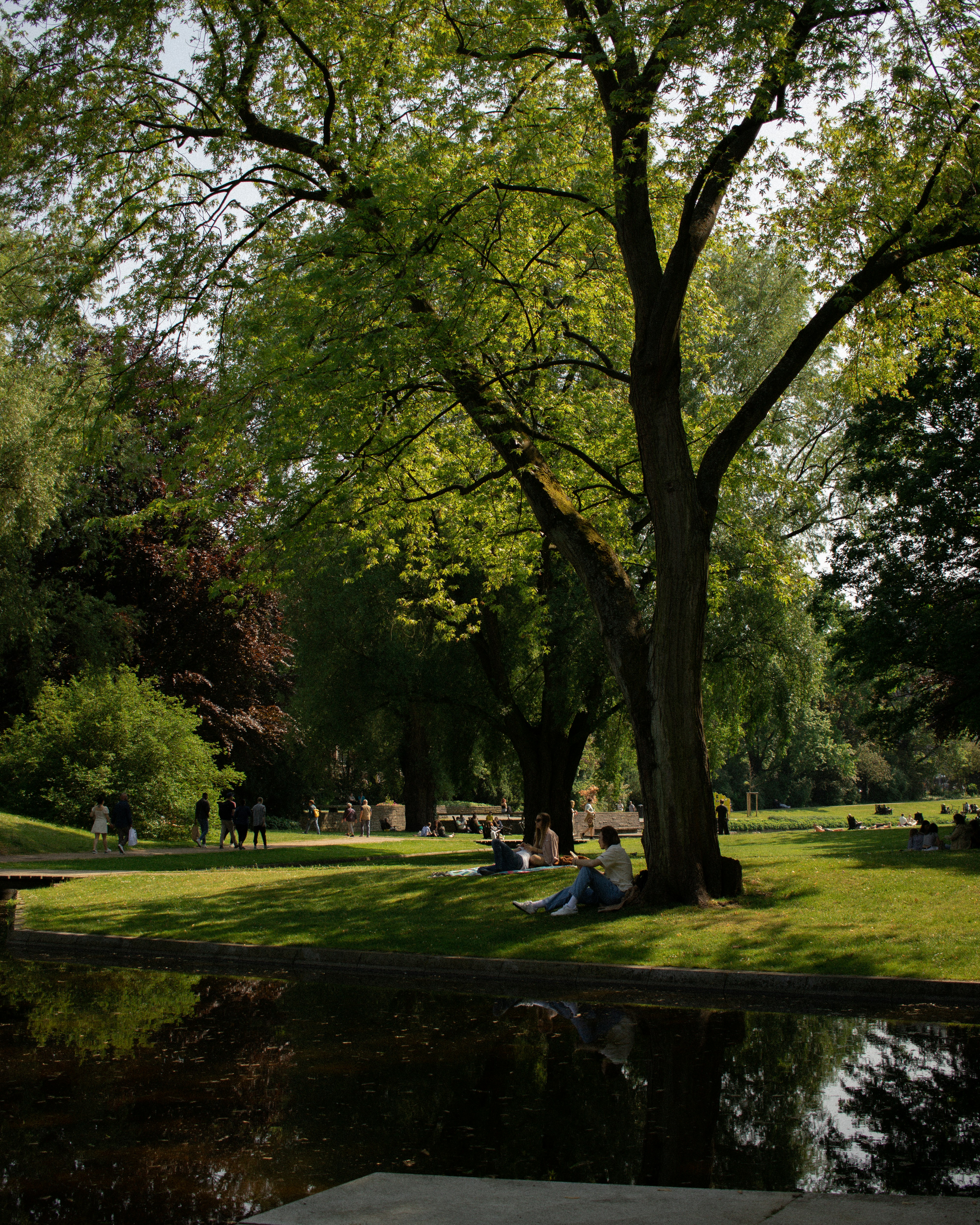 Baumpflege im Einsatz – Platzhalterbild